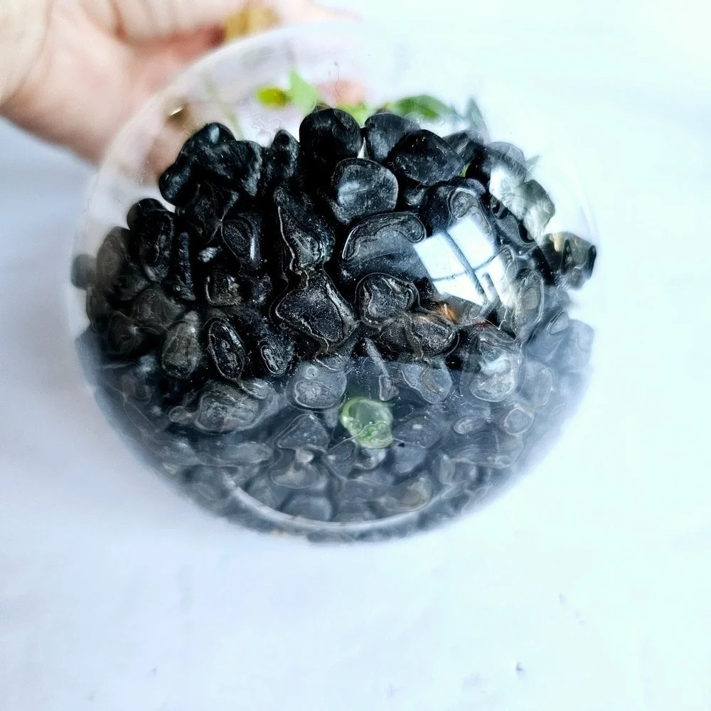 Set of 2 Glass Teardrop‎ Hanging Terrariums with Faux Succulents Home Decor